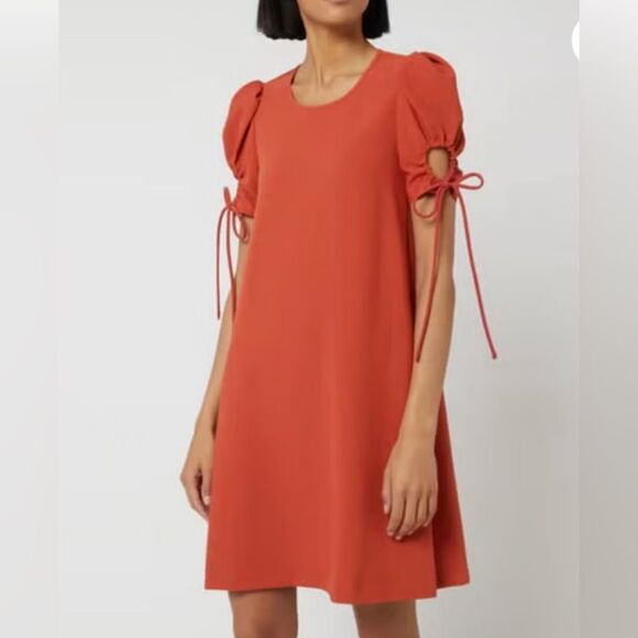 See By Chloe Ruched Tie Sleeve Mini Shift Dress 36/S - Picture 1 of 11